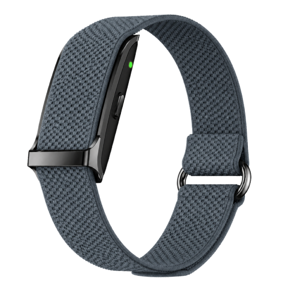 Performance Bicep Band